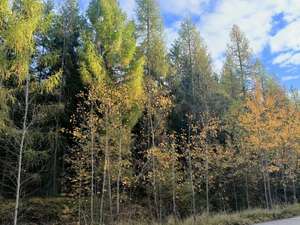 Obrázek z Facebooku